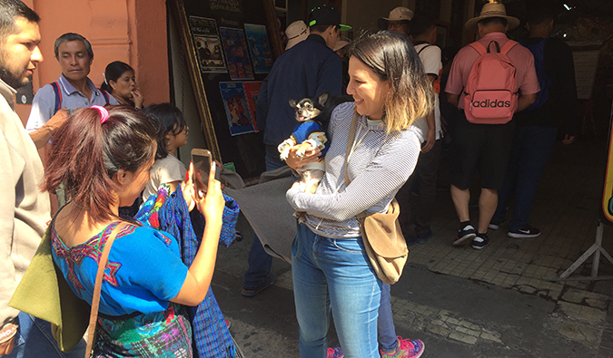 Boogie the pug getting lots of attention in Guatemala
