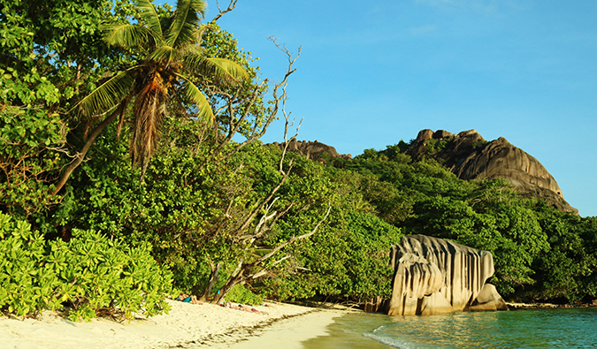 a tropical beach scene in the Seychelles