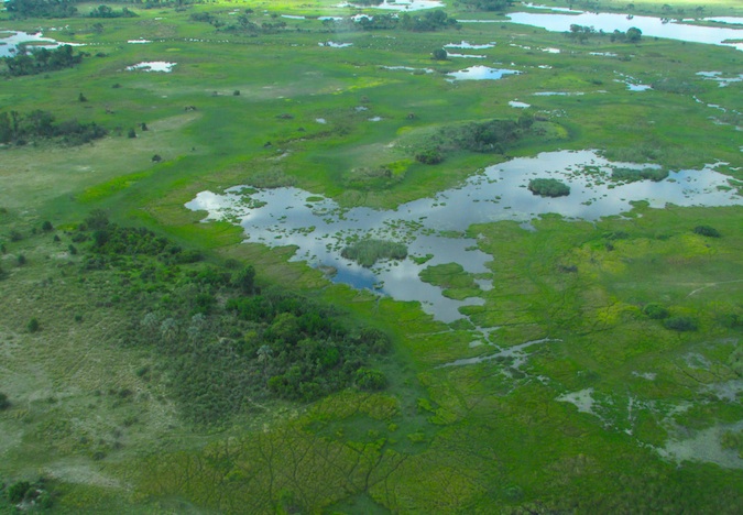 The Moremi Game Reserve in Botswana