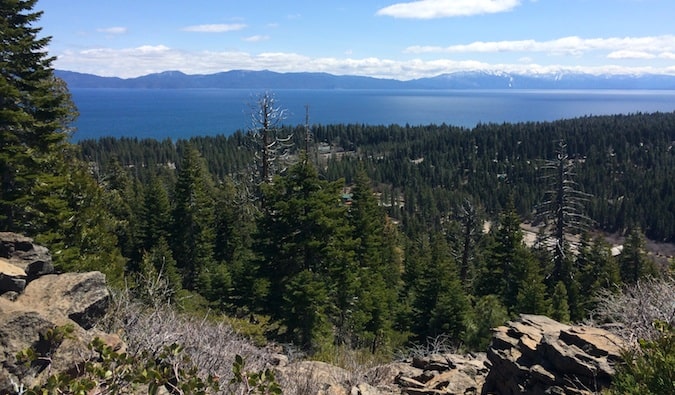 the beautiful forests around lake tahoe