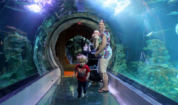 Mom and kids in an aquarium tunnel sightseeing abroad