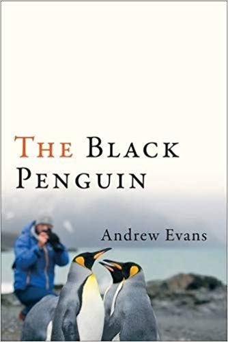 Black Penguin by Andrew Evans