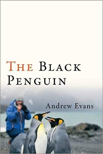 安德鲁·埃文斯(Andrew Evans)的《黑色企鹅》(Black Penguin)