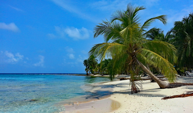 Palm trees and a picturesque sandy beach in Panama