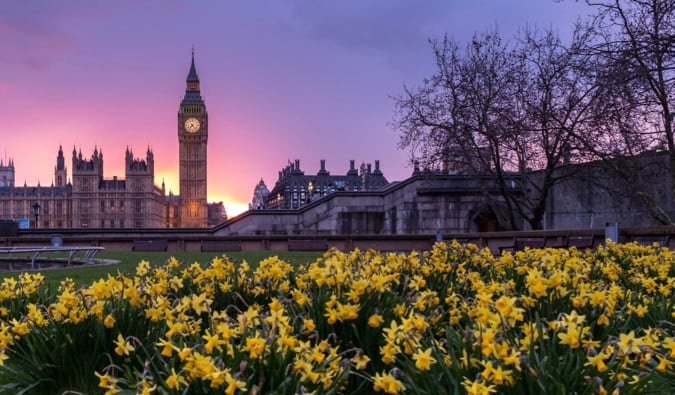 Big Ben at sunset with flowers nearby on a cloudy evening in London, England