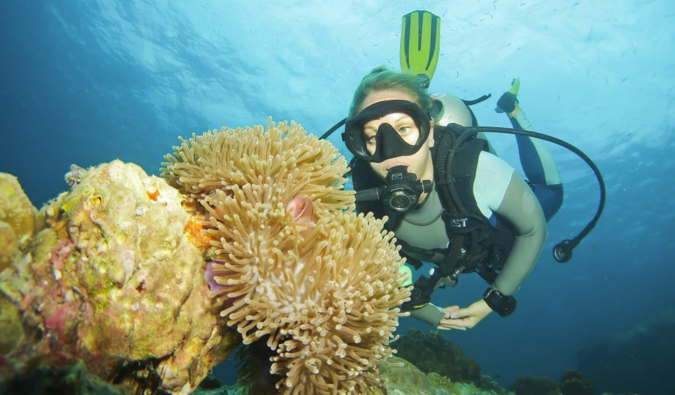 Alex in Wanderland diving in the waters near Koh Tao, Thailand