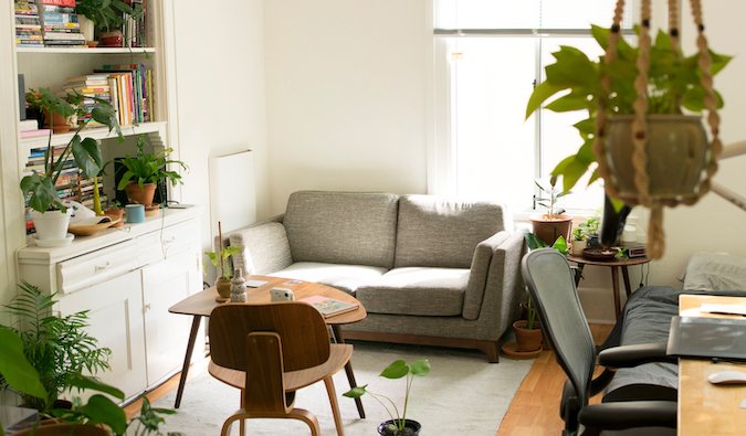 a cozy apartment with a couch and hanging plants