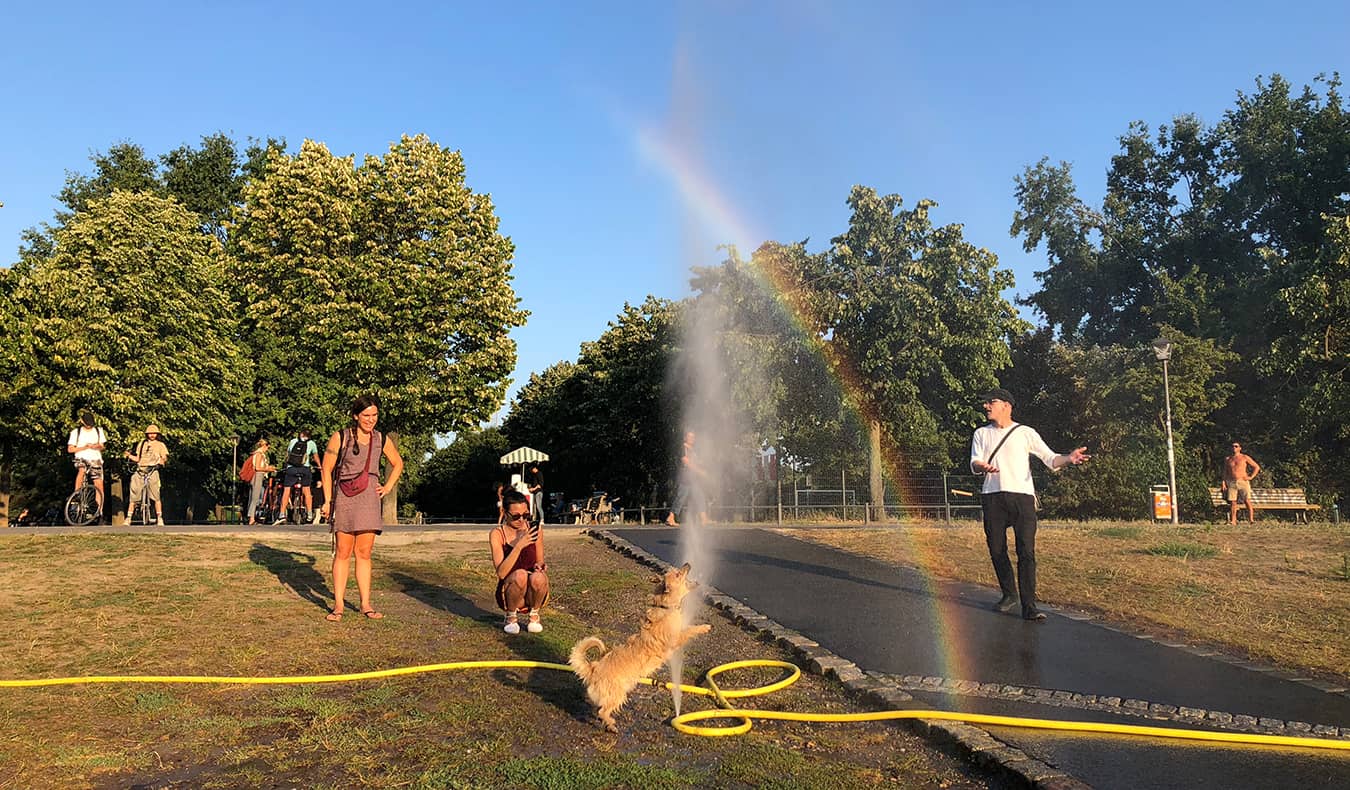 a dog playing in a water sprinkler in Berlin