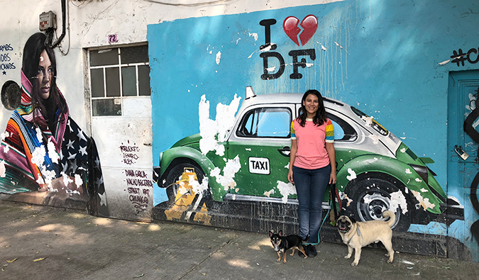 Boogie the pug and Marcelo the chi in Mexico City