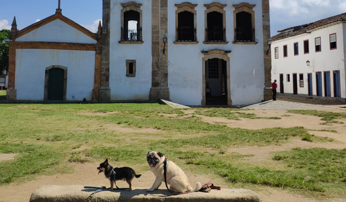 Boogie the pug and Marcelo the chi in Paraty, Brazil