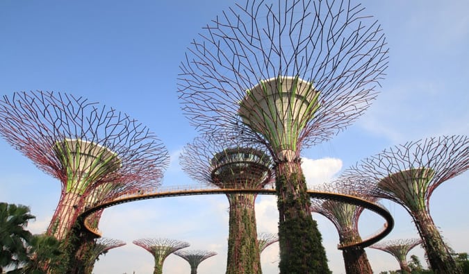 The massive Supertrees at Gardens by the Bay in Singapore