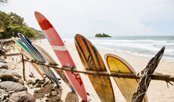 Surfboards lined up in the sand on the beach in Puerto Viejo, Costa Rica