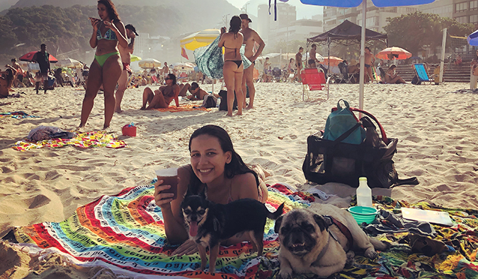 Boogie the pug and Marcelo the chi at the beach