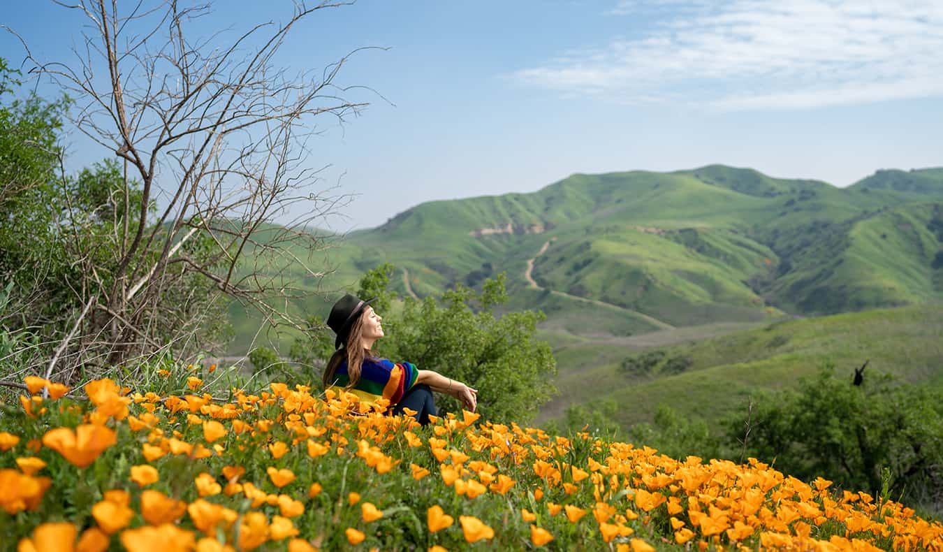 Kristin Addis sitting in a bed of sunflowers against a mountain backdrop