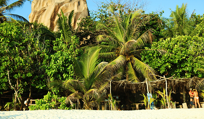 a beach in the Seychelles