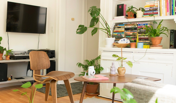 A cozy Airbnb apartment rental with lots of plants and light