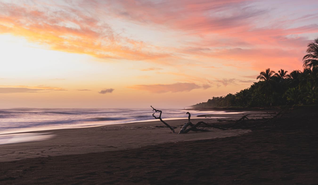 在日落期间风景如画的Tortuguero，哥斯达黎加的海滩