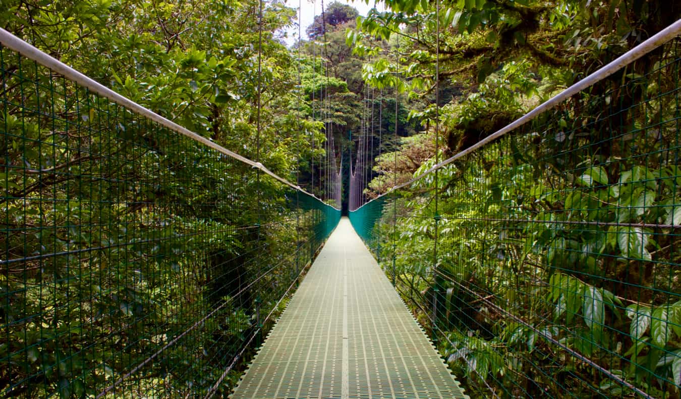 An empty bridge in the cloud forests of Monteverde, Costa Rica