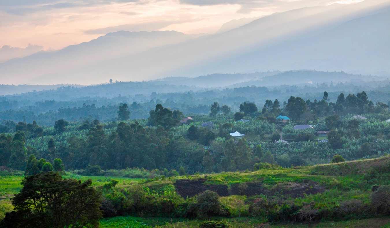 The view overlooking the lush forests and jungles of Uganda