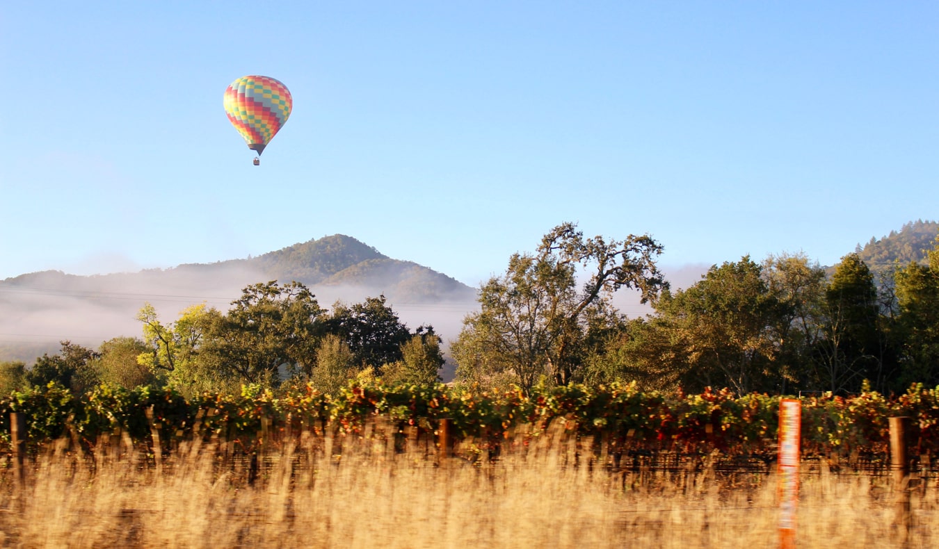 A hot air balloon floating over vineyards in Napa Valley, California