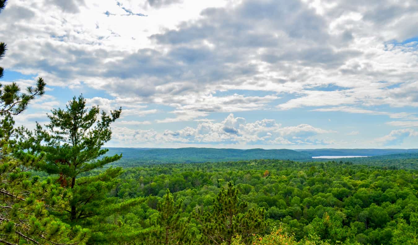 A sweeping vista of forests in Algonquin Park in Ontario, Canada