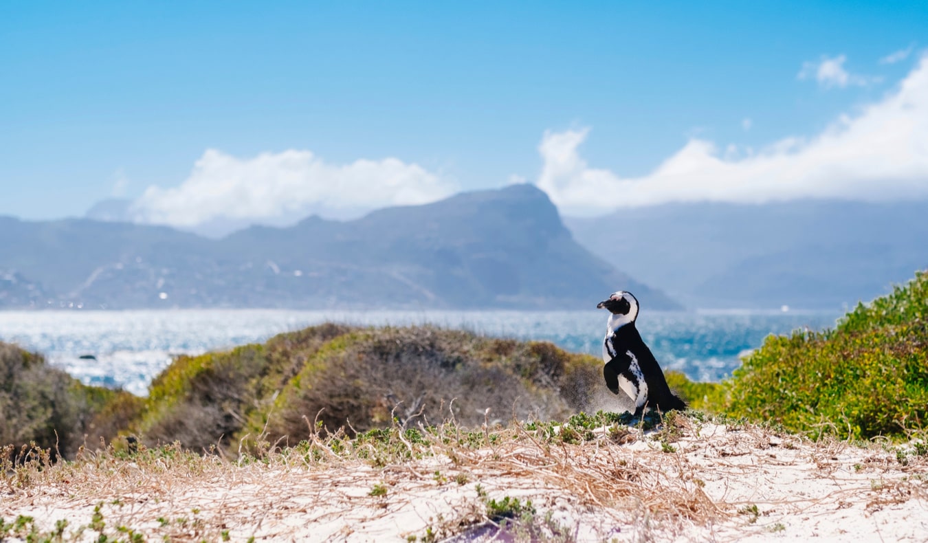 The historic city center of Cape Town, South Africa