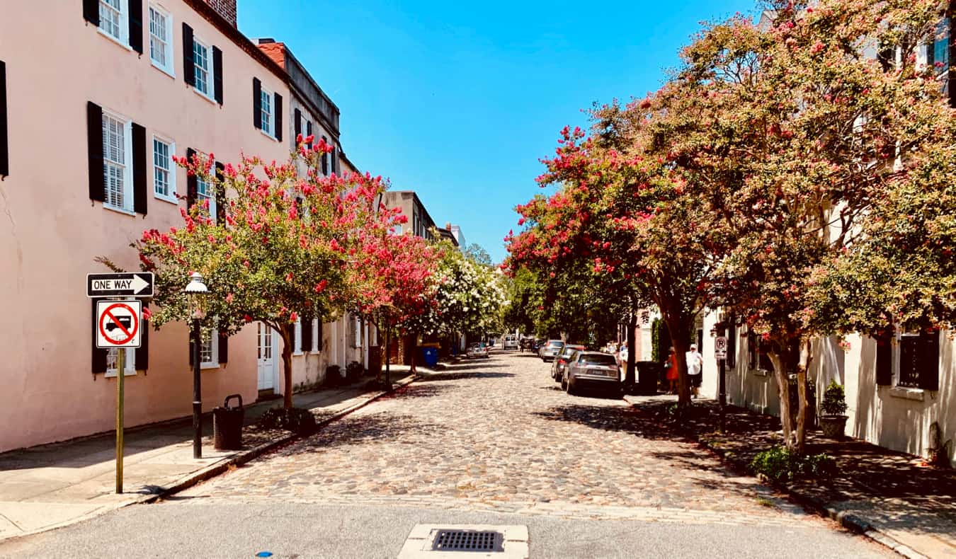 A quiet sidestreet lined by trees in Charleston, USA