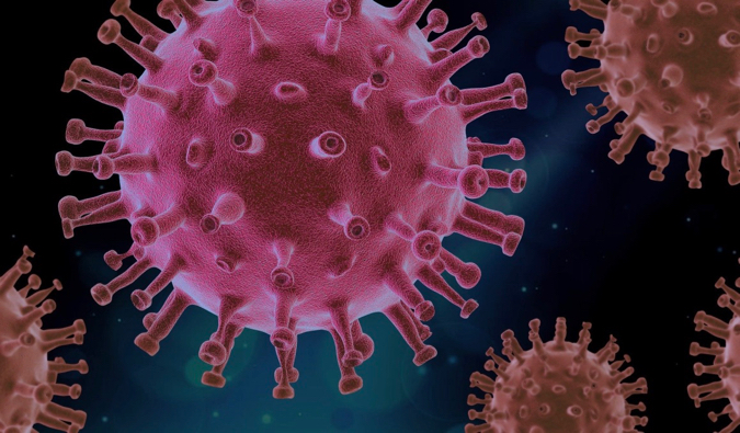 The COVID-19 coronavirus as a digital image