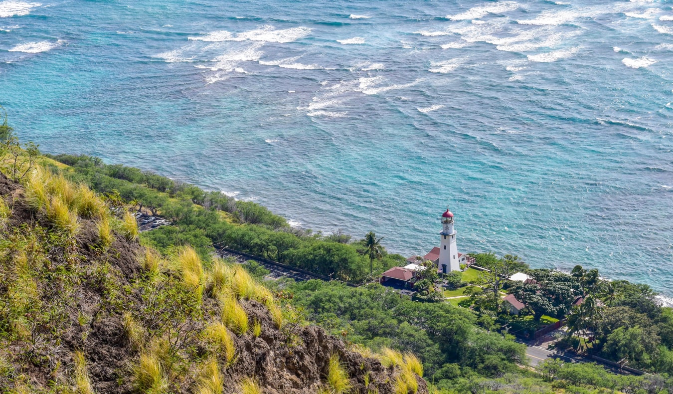 ocean view down a hillside looking at a lighthouse