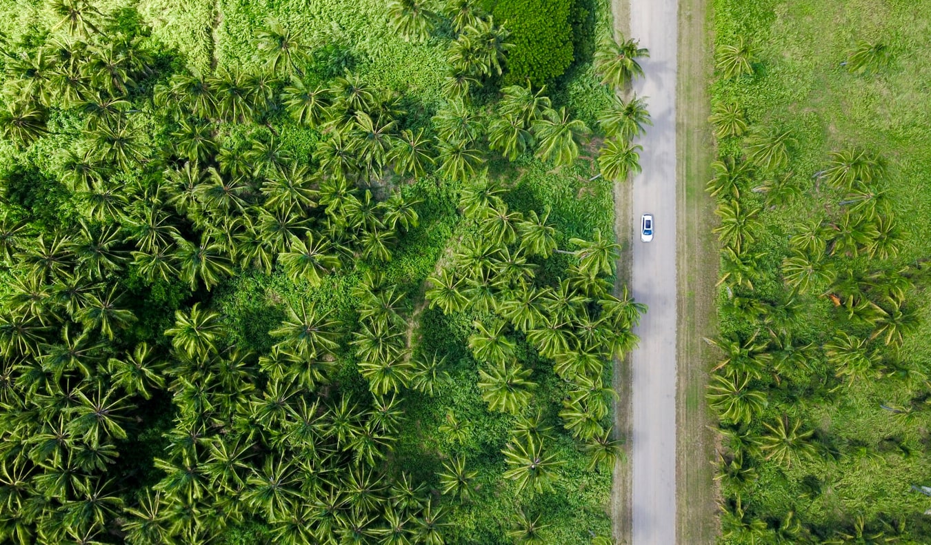 Driving on the highway in Oahu, Hawaii surrounded by forests and jungle
