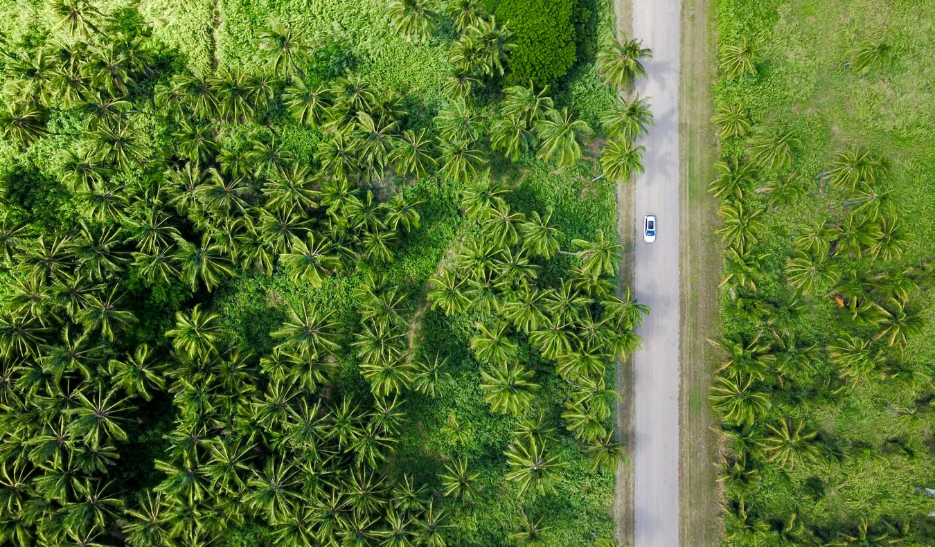 行驶在被森林和丛林包围的夏威夷瓦胡岛的高速公路上