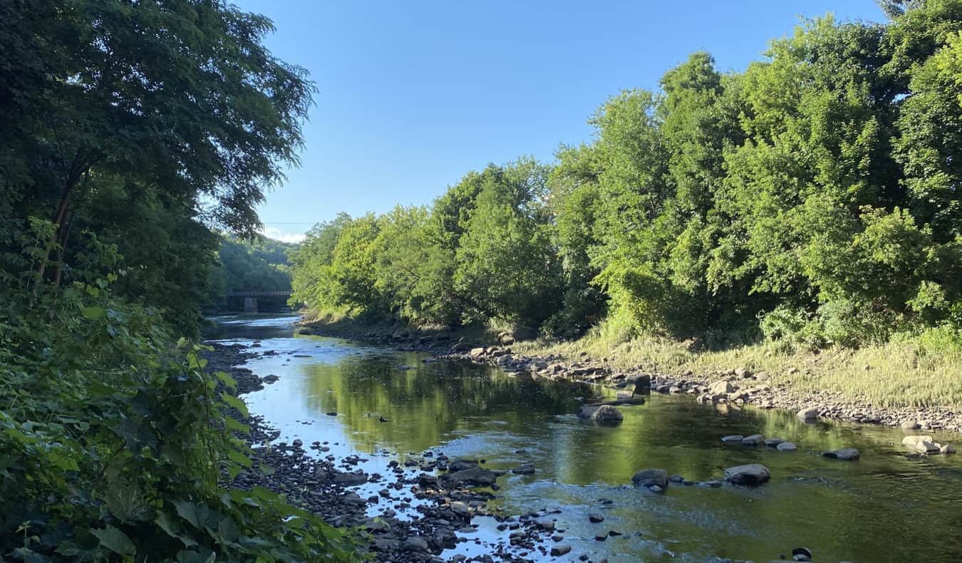 A peaceful river surrounded by trees in Maine, USA