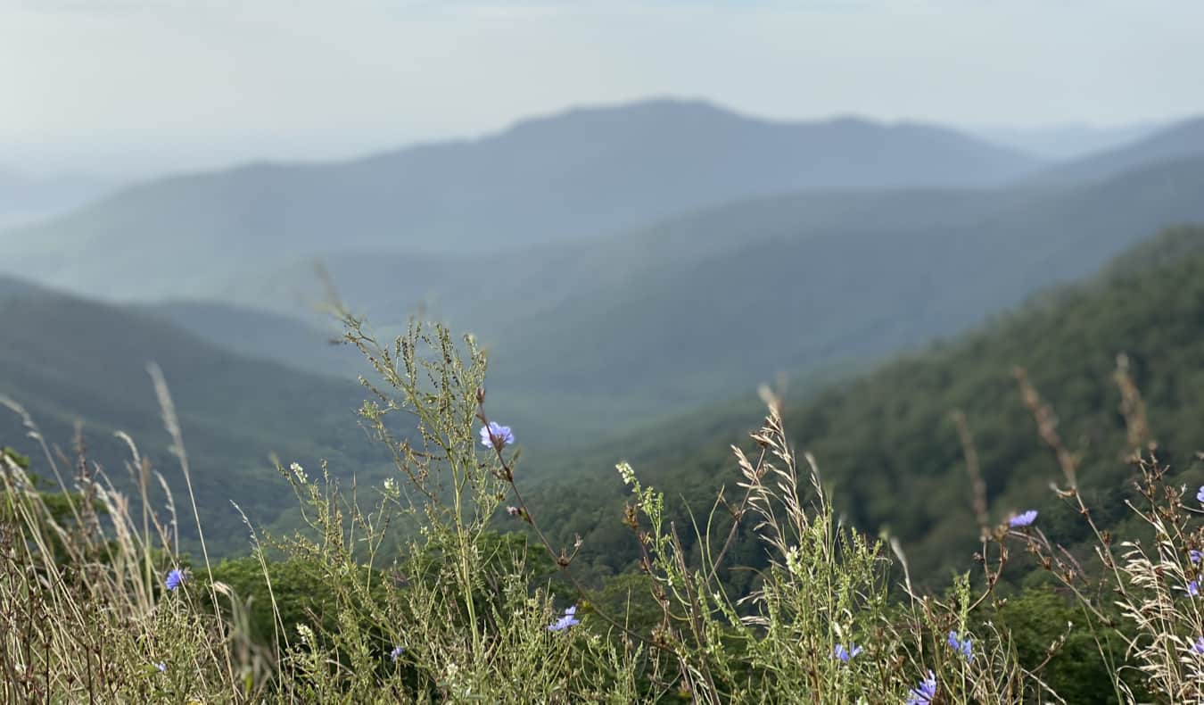 Closers on a ridge overlooking a wide open valley