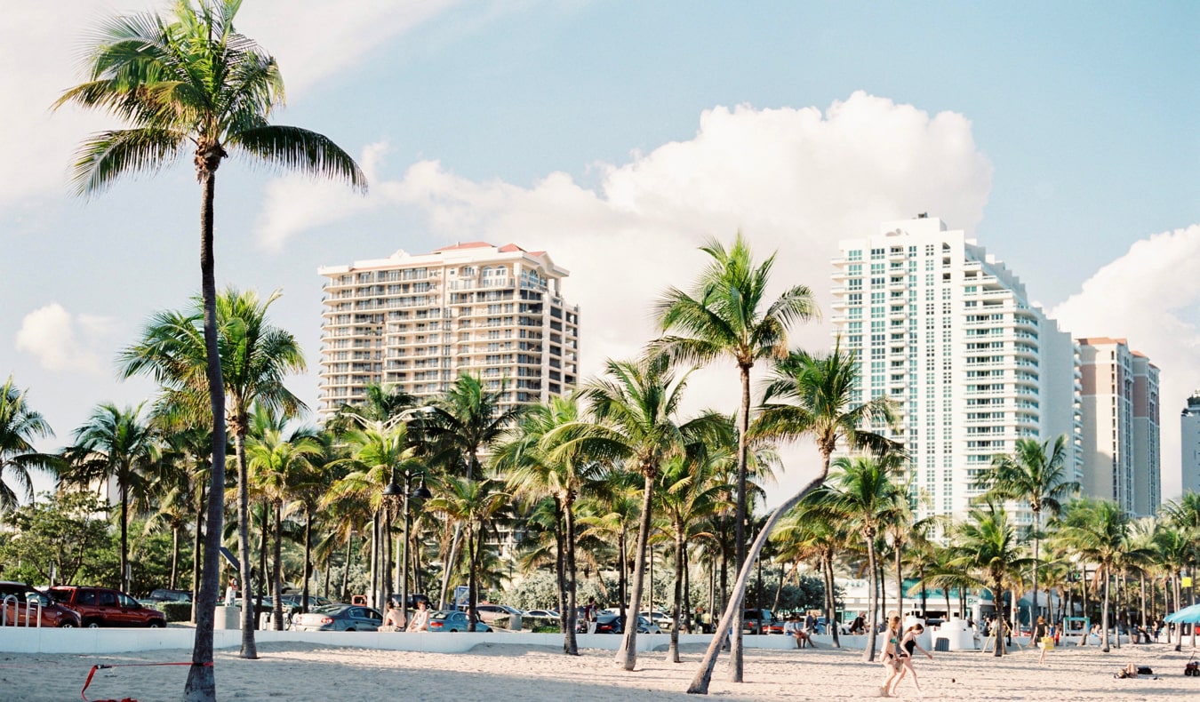 The sandy beaches of sunny Miami, Florida, featuring lots of palm trees