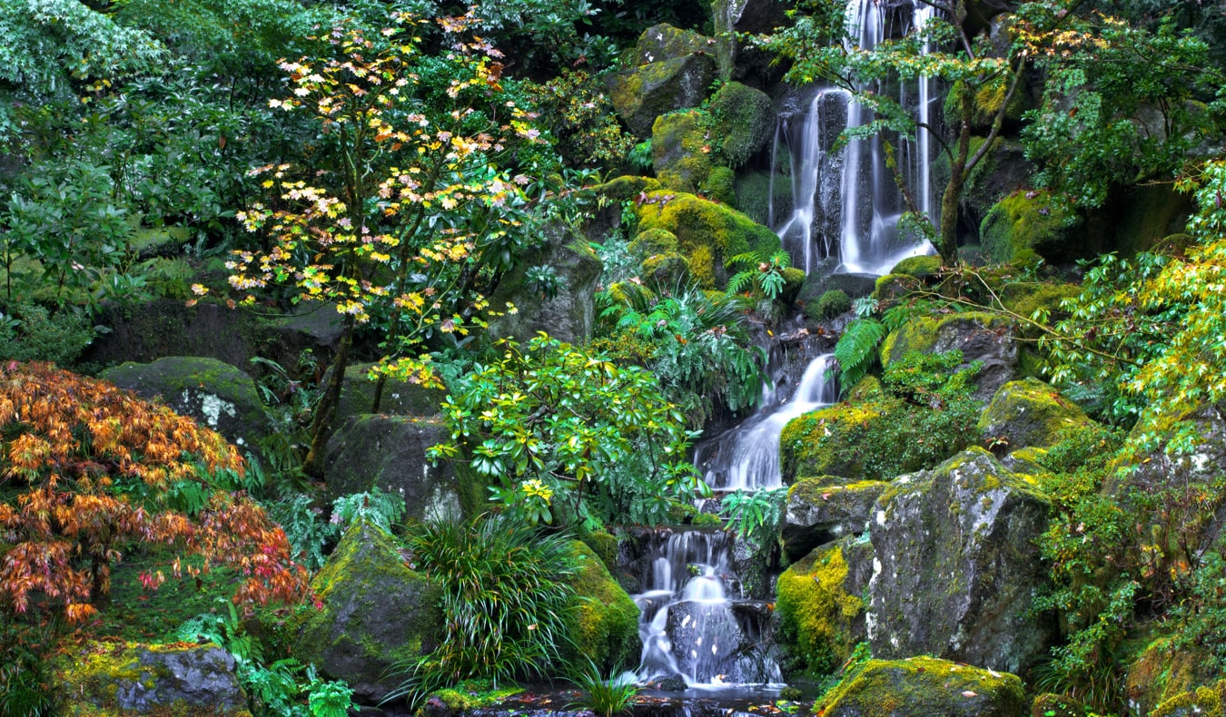 A beautiful waterfall in the Japanese Garden in Portland, Oregon