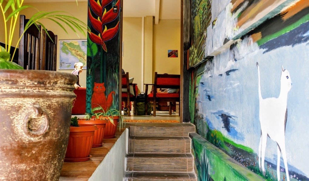The colorful interior of the Stray Cat hostel in San José, Costa Rica