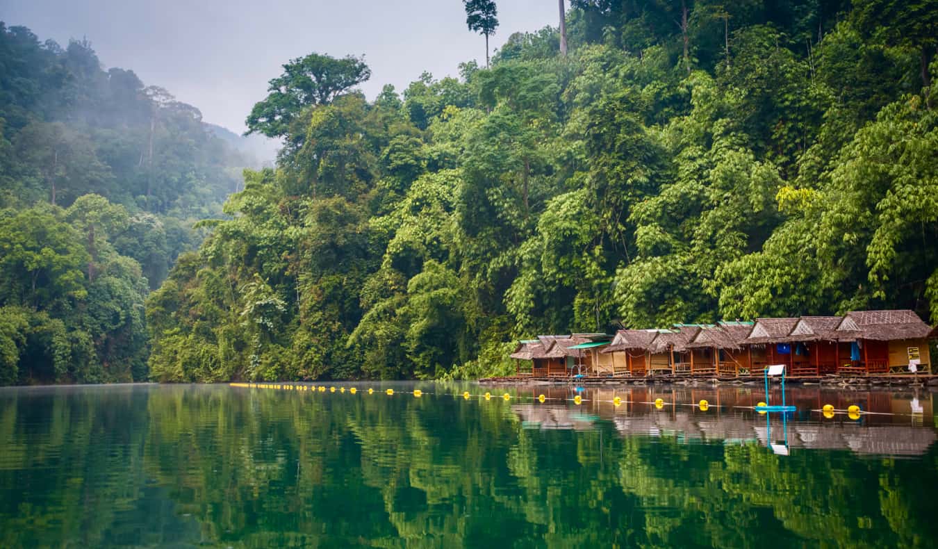 The lush, green jungles of Thailand surrounded by a river