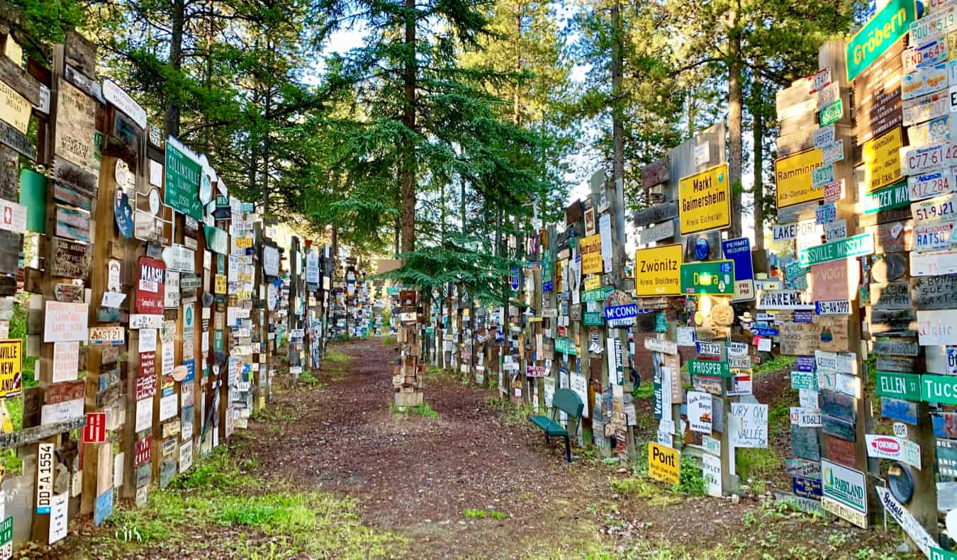 Colorful signs in the Signpost Forest in Yukon, Canada