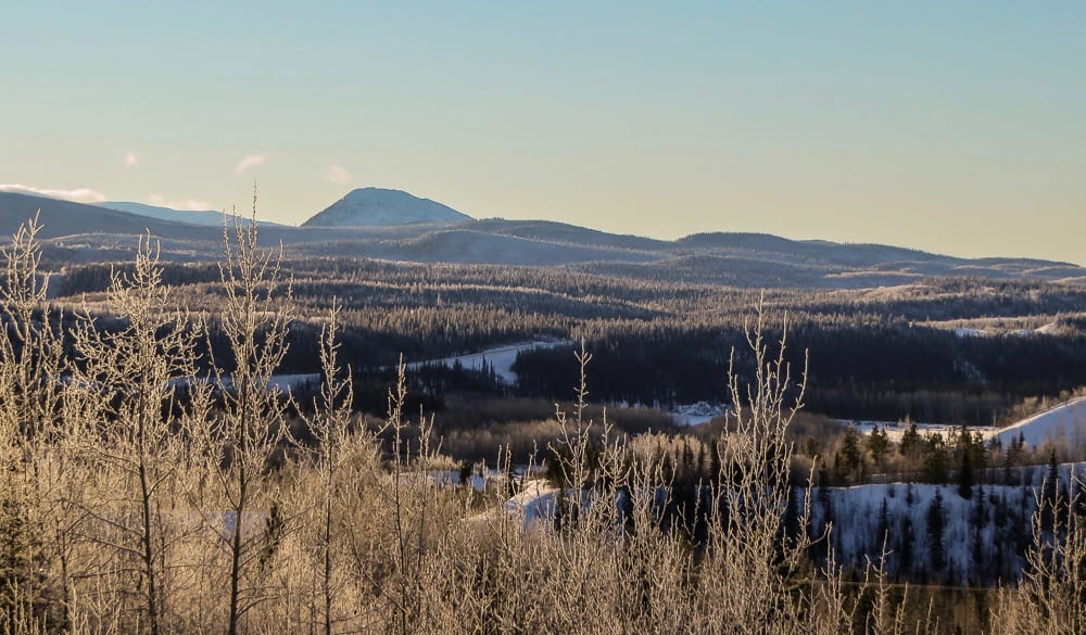 A wintery forest and hills near Faro, Yukon, Canada