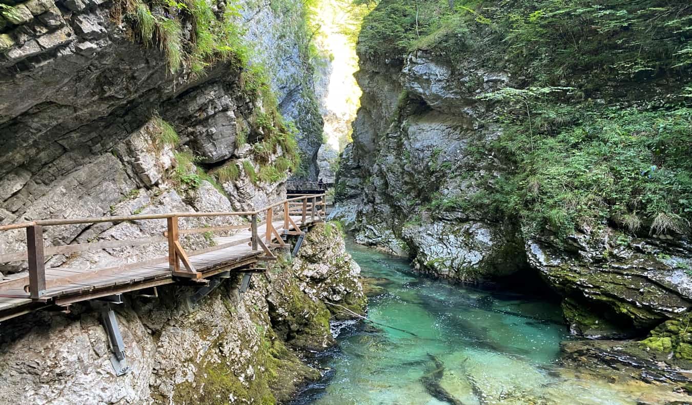 wooden walkway running along a clear river in Triglav National Park in Slovenia