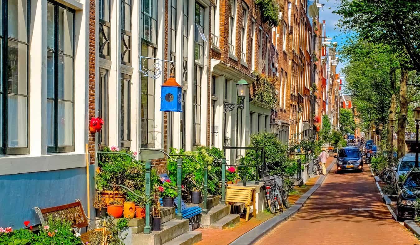 Tree-lined streetscape in the Jordaan district of Amsterdam, with colorful houses and a lot of plants in front of them.