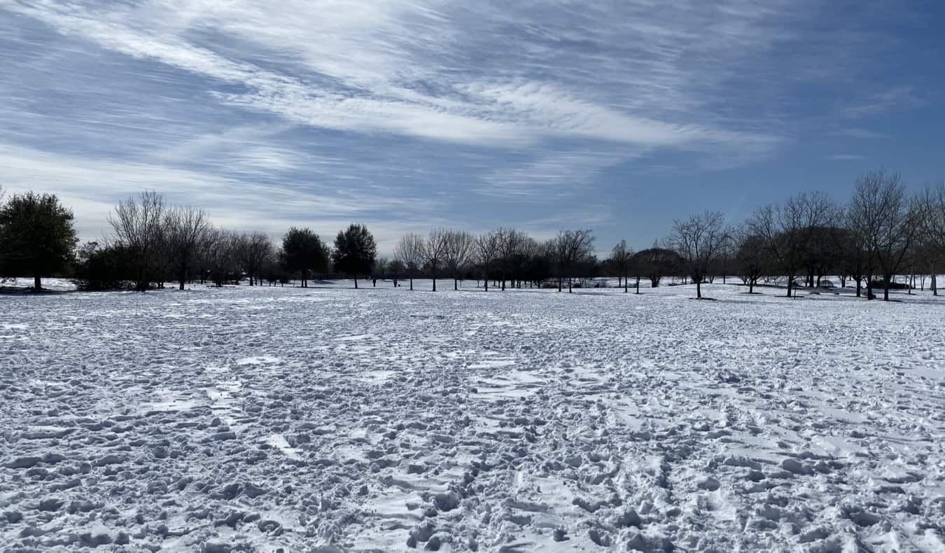 Snow and blue skies in Austin, Texas during the snowstorm