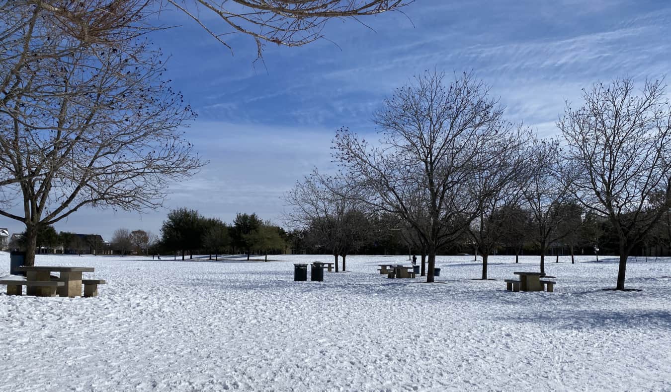 A snowy park in Austin, Texas