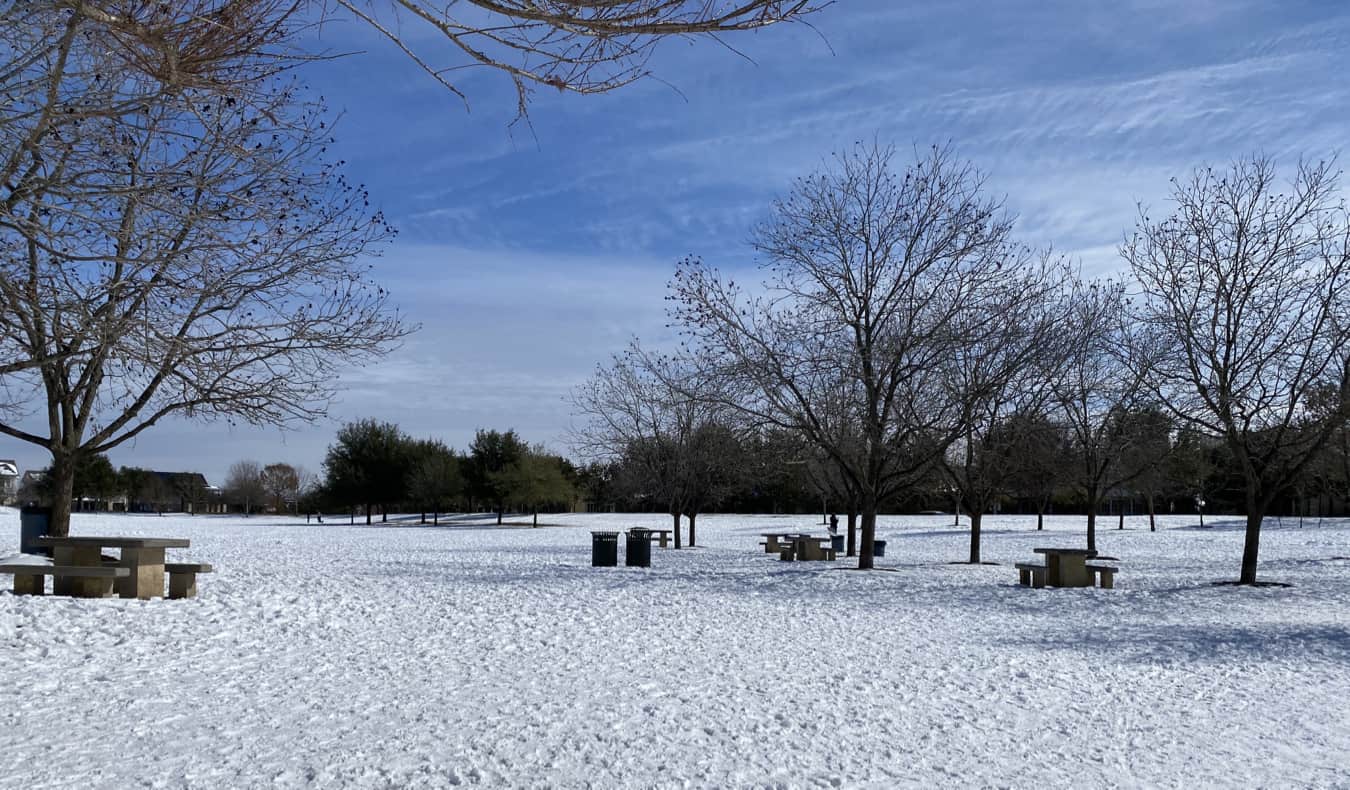 德克萨斯州奥斯汀的一个白雪覆盖的公园