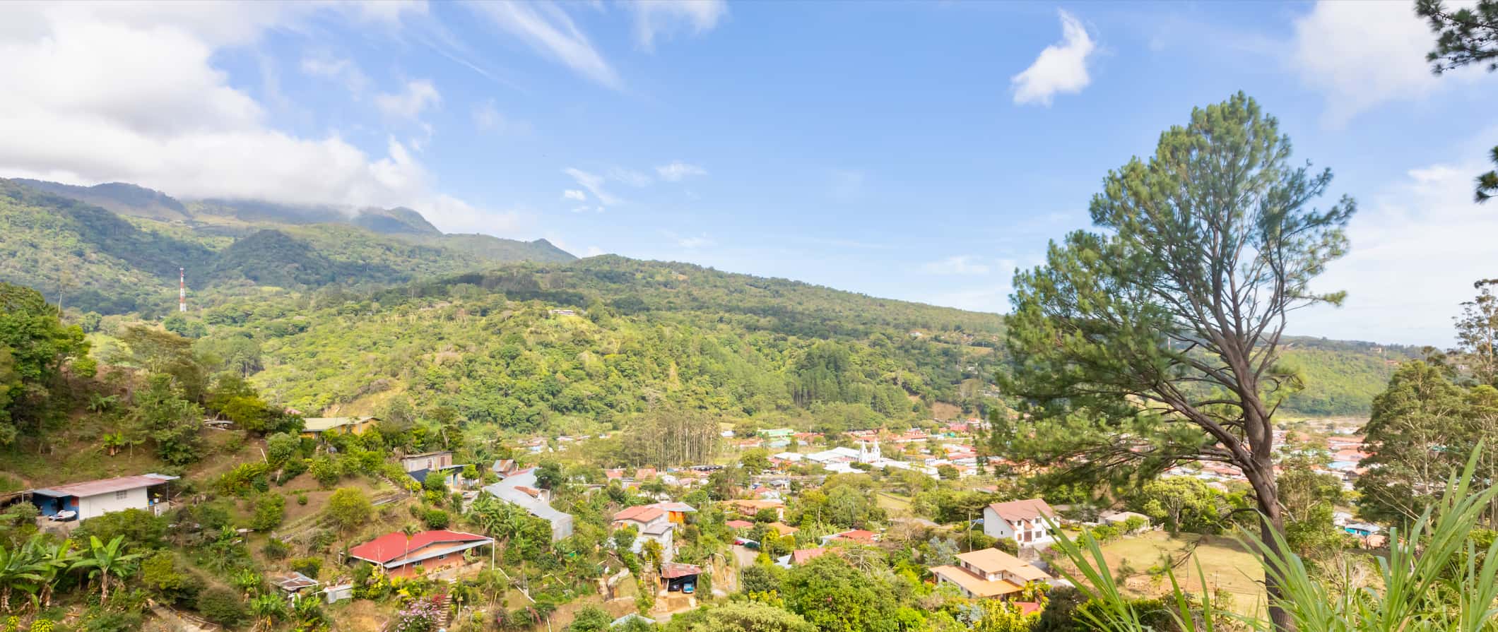 Lush greenery along the river in Boquete on a sunny day