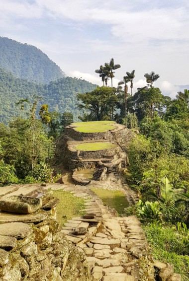 stairs to the Lost City (Ciudad Perdida)