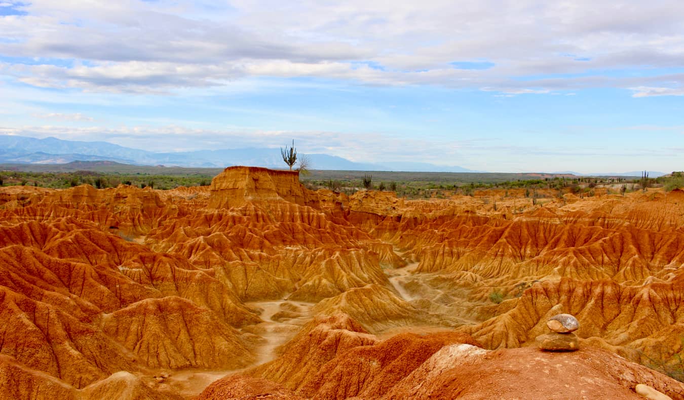 a cactus and bright red sand in Tatacoa Desert