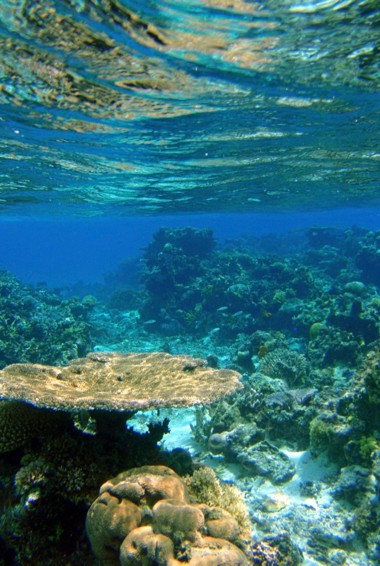 库克群岛清澈的海水