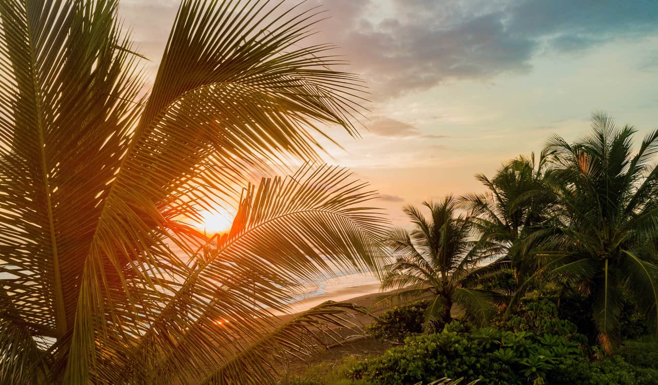 A relaxing beach with palm trees in Costa Rica