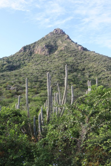 Christoffelberg and the surrounding nature in Curaçao